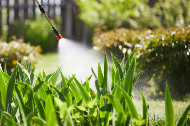 24/7 Emergency Mosquito Control experts in Hawkinsville, GA