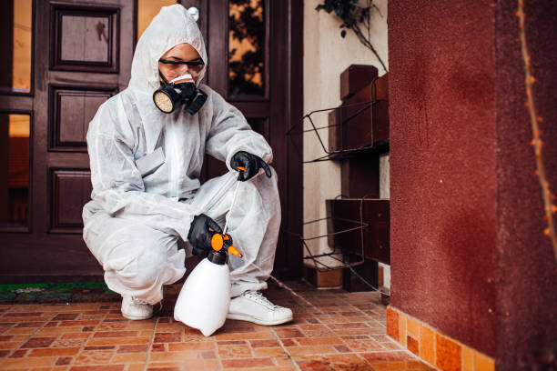 Reliable Mosquito Control contractor in Hawkinsville, GA by Show Me Pest Control